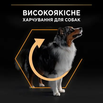 Сухий корм PRO PLAN Medium Adult 1+ Everyday Nutrion для дорослих собак середніх порід з куркою 14 кг: додаткове фото 5