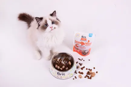 Ласощі для котів Brit Raw Treat Indoor & Antistress Freeze-dried з куркою, 40 г: додаткове фото 4