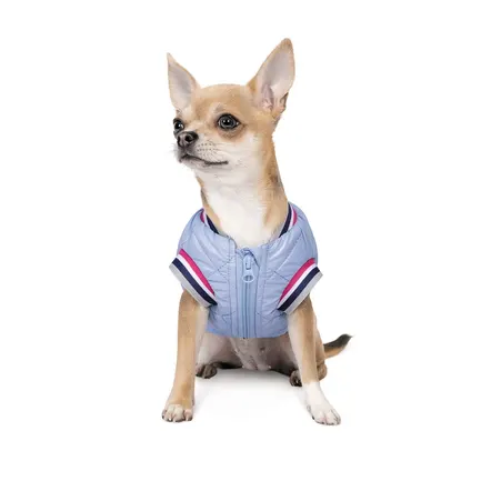Бомбер Pet Fashion «Spike» для собак, розмір XS, блакитний: додаткове фото 3