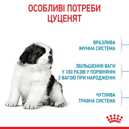 Сухий корм Royal Canin GIANT PUPPY для цуценят гігантських порід 1 кг: додаткове фото 5