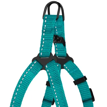 Шлея для Собак Дрібних Порід BronzeDog Active Нейлонова зі Світловідбиттям Бірюзова XS: додаткове фото 3