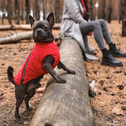 Жилет Pet Fashion «E.Vest» для собак, розмір XS, червоний — Фото 3