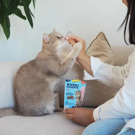 Ласощі для котів GimCat Nutri Pockets Fish Лосось 60 г: додаткове фото 3