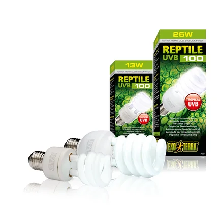 Лампа тераріумна Exo Terra Repti GLO 5.0 для тропічних рептилій, ультрафіолетова, люмінесцентна, 26 W, E27 (для опромінення): додаткове фото 3
