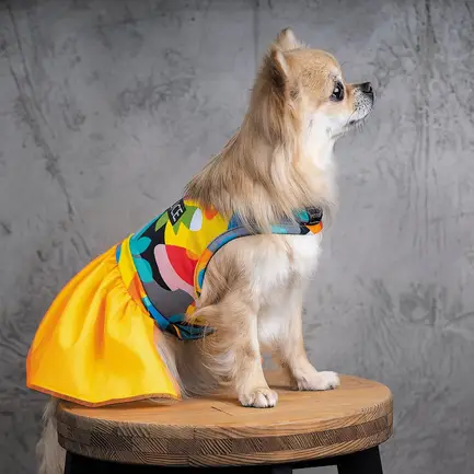 Сукня Pet Fashion «Sun» для собак, розмір M, жовта: додаткове фото 5