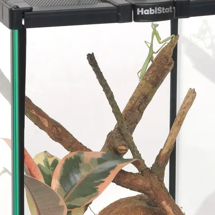 Тераріумний стартовий набір HABISTAT INVERTEBRATE STARTER KIT (R1100275): додаткове фото 5