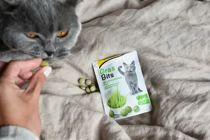 Вітамінізовані таблетки для котів GimCat Gras Bits трав'яні кульки, пауч, 425 г: додаткове фото 5