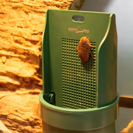 Підвісна годівниця для рептилій Repti-Zoo Arboreal Feeding Dish 20см (ERB28): додаткове фото 7