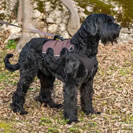 Ferplast ERGOTREKKING XL HARNESS BROWN Ергономічна шлея для собак: додаткове фото 4