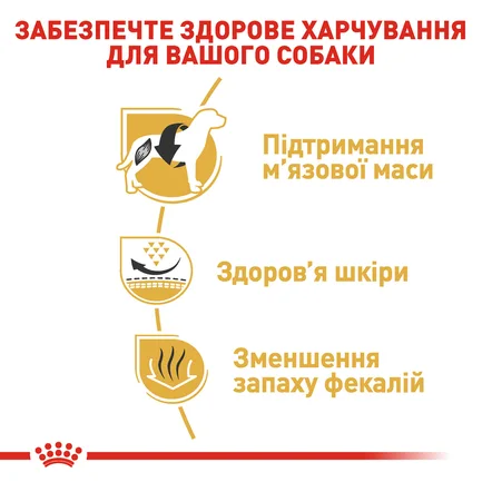 Сухий корм Royal Canin FRENCH BULLDOG ADULT для дорослих собак породи Французький бульдог 1,5 кг: додаткове фото 3