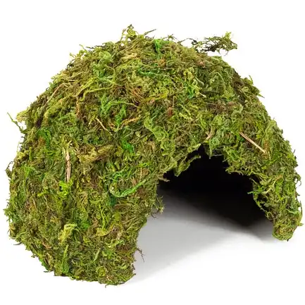 Схованка з моху Repti-Zoo Natural Mossy Dome M 14x10,5 (ERS25M): додаткове фото 4