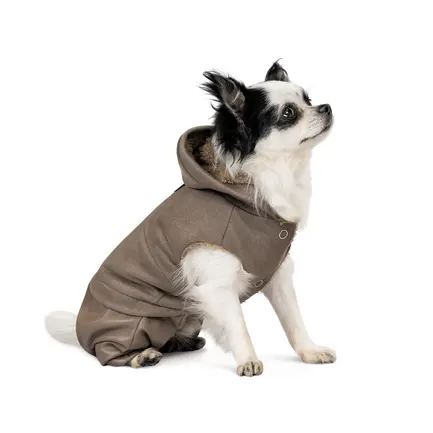 Костюм Pet Fashion «PF Style» для собак, розмір XS, бежевий (лімітована серія): додаткове фото 2