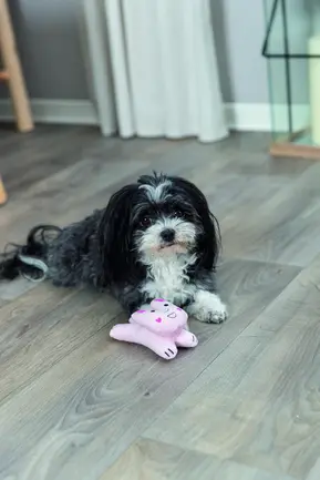 Іграшка Trixie Заєць плюшевий для собак 12 см: додаткове фото 4