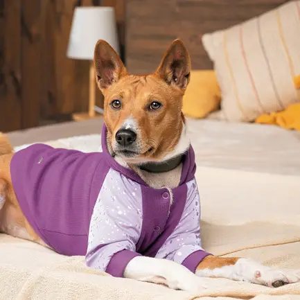 Толстовка Pet Fashion «Lilac» для дівчаток, розмір XS, бузкова (лімітована серія): додаткове фото 5