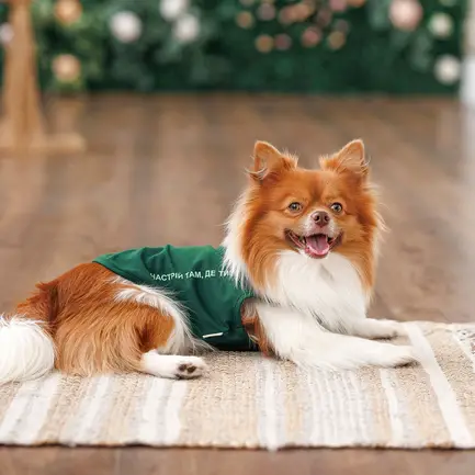 Борцівка Kale ТМ Pet Fashion для собак XXS зелена: додаткове фото 4