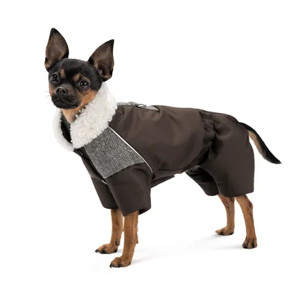 Костюм Pet Fashion Locky М2 для собак: додаткове фото 2