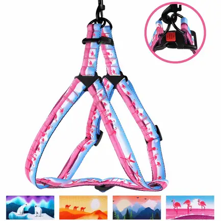Шлея для собак BronzeDog Urban Travel нейлонова Фламінго L: додаткове фото 4