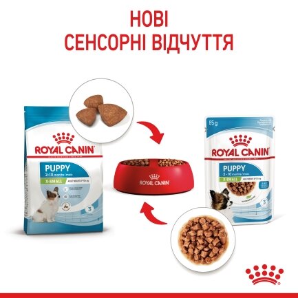 Вологий корм Royal Canin XSMALL PUPPY для цуценят всіх порід 85 г — Фото 2