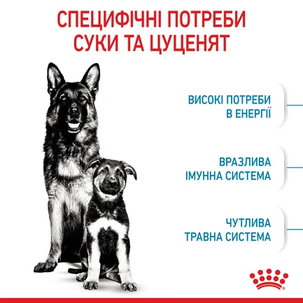 Сухий корм Royal Canin MAXI STARTER для дорослих собак великих порід 4 кг: додаткове фото 5