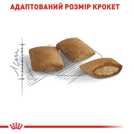 Сухий корм Royal Canin AGEING+12 для Кіт 2 кг: додаткове фото 4