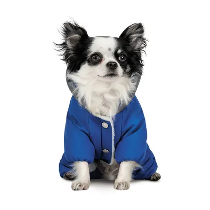 Костюм Pet Fashion Zhan для собак, розмір XS, блакитний: додаткове фото 2