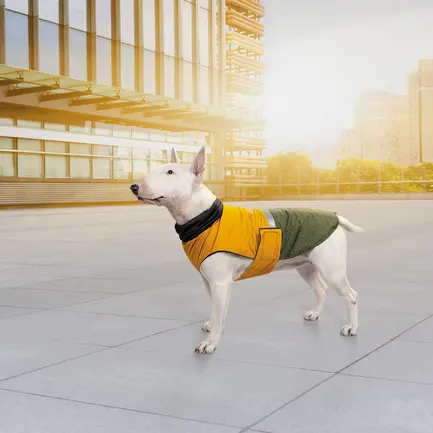 Попона Pet Fashion «Roy» для собак, розмір 7XL, хакі-гірчиця: додаткове фото 7