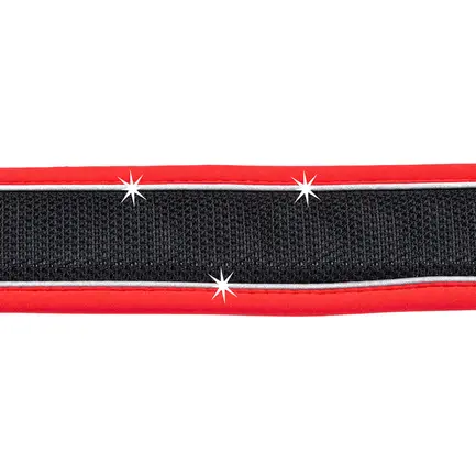 Ferplast GENIUS C15/35 RED COLLAR нейлоновий нашийник для тварин червоний: додаткове фото 7