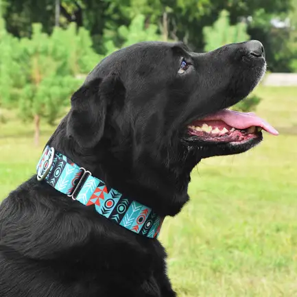Нашийник для Собак Мартінґейл BronzeDog Urban Нейлоновий з Металевою Фурнітурою Інки XL: додаткове фото 6