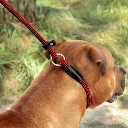 Повідець-Зашморг для Собак Bronzedog Active з Альпіністського Шнура Тренувальний Чорно-Червоний L/XL: додаткове фото 5