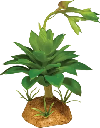 REPTO PLANT SUCCULENT GREEN (R5100630) Штучна рослина для тераріума
