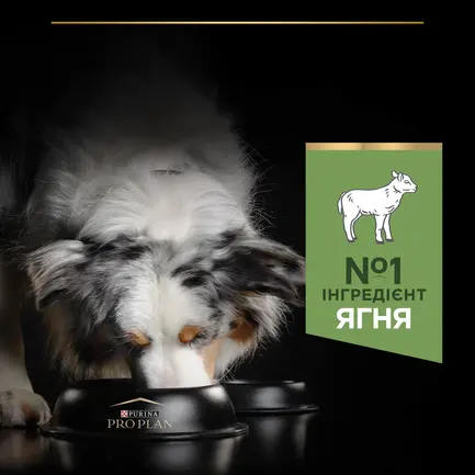 Сухий корм PRO PLAN Medium Adult 1+ Sensitive Digestion для дорослих собак середніх порід з чутливим травленням з ягням 3 кг: додаткове фото 7
