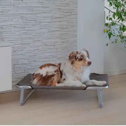 Ferplast DOG BED DREAM 80 Розкладачка металева — Фото 2