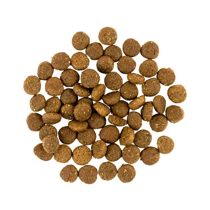 Сухий корм Savory Puppy для цуценят усіх порід, зі свіжою індичкою і куркою, 3 кг: додаткове фото 2