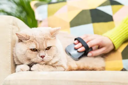 Щітка масажна FURminator для собак та котів, гумова: додаткове фото 5