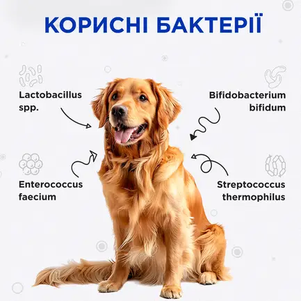 Комбіфлор пробіотик (Kombiflor Probiotic) порошок для підтримки балансу мікрофлори кишечника собак та котів MODES: додаткове фото 3