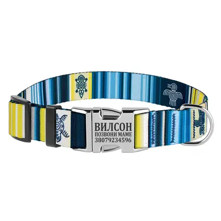 Нашийник для Собак BronzeDog Urban West Нейлоновий з Металевою Пряжкою Синій XL: додаткове фото 2