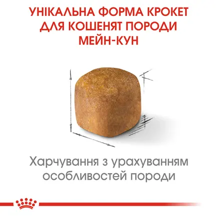 Сухий корм Royal Canin MAINECOON KITTEN для кошенят породи Мейн-кун 0,4 кг+KITTEN CIG 85g: додаткове фото 4