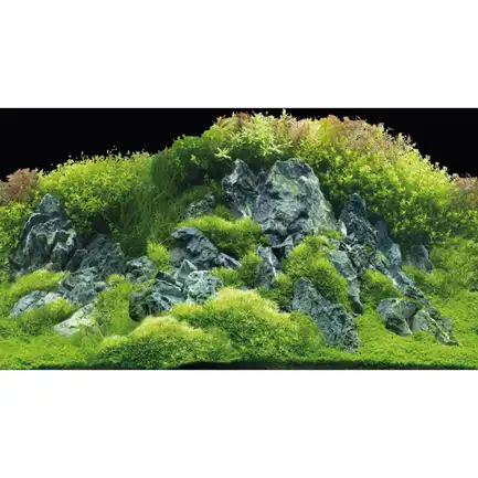 Задній фон Hobby Planted River/Green Rocks 100x50см (31044): додаткове фото 3