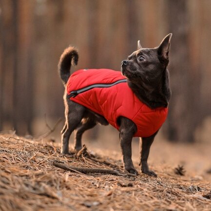 Жилет Pet Fashion «E.Vest» для собак, розмір XS, червоний — Фото 2