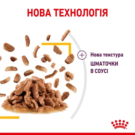 Вологий корм Royal Canin SENSORY TASTE GRAVY для котів всіх порід 85 г: додаткове фото 3