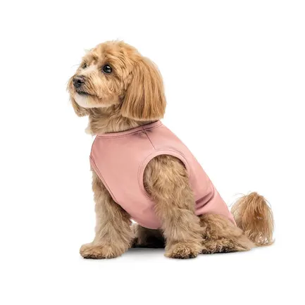 Борцівка Kale ТМ Pet Fashion для собак XL рожева: додаткове фото 3