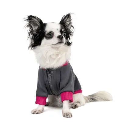 Толстовка Pet Fashion «Bim» для собак, розмір XS2, сіра: додаткове фото 3