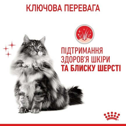 Вологий корм Royal Canin HAIR&amp;SKIN CARE IN GRAVY для котів всіх порід 85 г — Фото 3