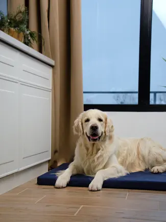 Матрац Харлей №4 Синій Lucky Pet, 60х90х5