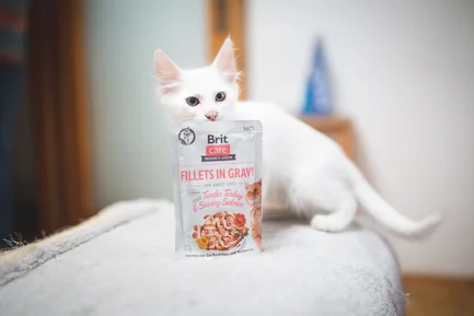 Вологий корм Brit Care Cat Pouch для котів, філе в соусі, ніжна індичка і пікантний лосось, 85 г: додаткове фото 4