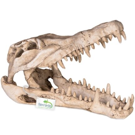 Декорація череп крокодила Terrario Crocodile Skull XL 23x11x16см (251115)