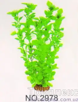 Aquatic Plants (Акватик Плэнтс) Акваріумна рослина, 29 см х 6 шт/уп.