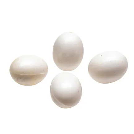 Ferplast FPI 4309 PLASTIC EGGS (x4)