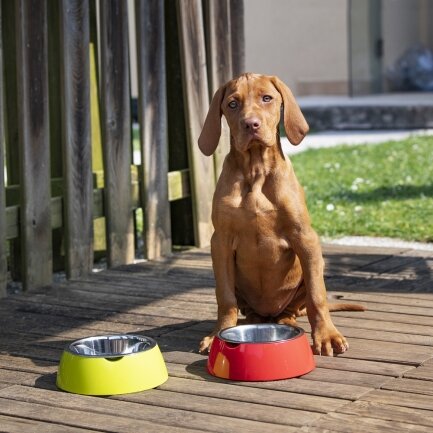 Ferplast JOLIE M RED BOWL Годівниця, пластик, метал — Фото 3