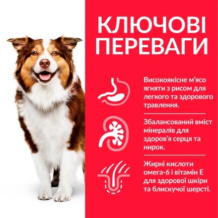 Hill’s Science Plan Mature Adult 7+ Medium Breed Сухий корм для зрілих собак середніх порід від 7 років, з ягням і рисом, 14 кг — Фото 1